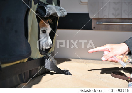 和我心愛的傑克羅素梗犬一起乘坐露營車旅行 136298966
