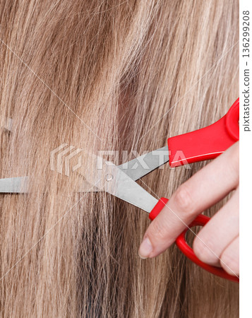 Red scissors on blonde hair. Close up. 136299208