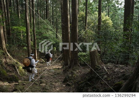 朝聖者沿著森林山路行走-一幅寧靜祥和的朝聖景象 朝聖者沿著森林山路行走-一幅寧靜祥和的朝聖景象 136299294