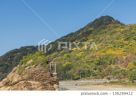 日本島根縣出雲市大社町稻佐海灘的弁天島和合禦前神社 日本島根縣出雲市大社町稻佐海灘的弁天島和合禦前神社 136299412