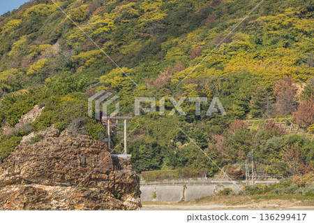 日本島根縣出雲市大社町稻佐海灘的弁天島和合禦前神社 日本島根縣出雲市大社町稻佐海灘的弁天島和合禦前神社 136299417