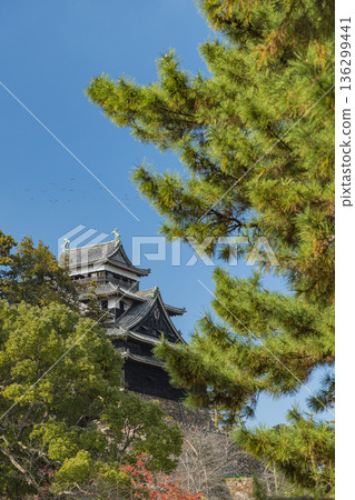 The remaining castle tower of Matsue Castle, a national treasure, is located in Tonomachi, Matsue City, Shimane Prefecture, Japan 136299441