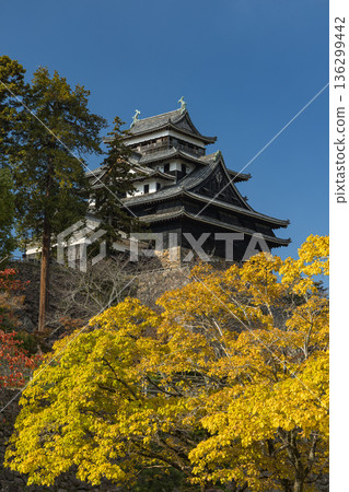 The castle tower and autumn leaves of Matsue Castle, a national treasure with a surviving castle tower in Tonomachi, Matsue City, Shimane Prefecture, Japan The castle tower and autumn leaves of Matsue Castle, a national treasure with a surviving castle tower in Tonomachi, Matsue City, Shimane Prefecture, Japan 136299442