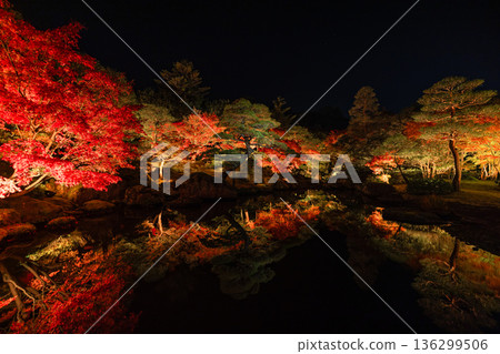 Autumn leaves illuminated at night at Yushien Garden on Daikon Island in Yatsuka Town, Matsue City, Shimane Prefecture, Japan Autumn leaves illuminated at night at Yushien Garden on Daikon Island in Yatsuka Town, Matsue City, Shimane Prefecture, Japan 136299506