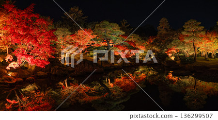 Autumn leaves illuminated at night at Yushien Garden on Daikon Island in Yatsuka Town, Matsue City, Shimane Prefecture, Japan Autumn leaves illuminated at night at Yushien Garden on Daikon Island in Yatsuka Town, Matsue City, Shimane Prefecture, Japan 136299507