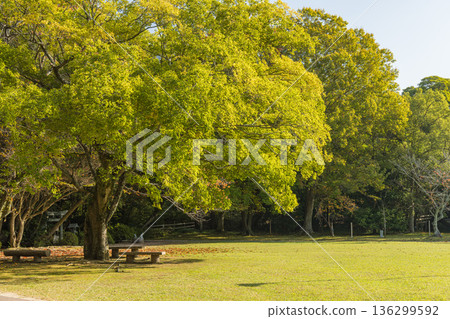 View of the East Garden of Izumo Taisha Shrine in Taishacho, Izumo City, Shimane Prefecture, Japan 136299592