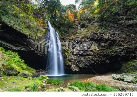 Ryuzugataki Falls, a waterfall in Kakeya Town, Unnan City, Shimane Prefecture, Japan, splashing water as it flows down 136299715