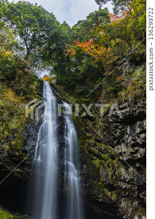 龍之瀑布，位於日本島根縣雲南市木屋町，瀑布奔流而下時濺起水花。 136299722