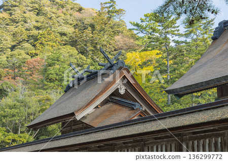 Chikushi Shrine of Izumo Taisha Shrine in Taishacho, Izumo City, Shimane Prefecture, Japan 136299772