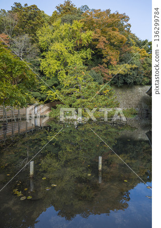 日本島根縣出雲市大社町出雲大社的鏡池 136299784