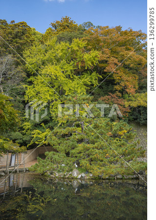 Mirror Pond at Izumo Taisha Shrine in Taishacho, Izumo City, Shimane Prefecture, Japan 136299785