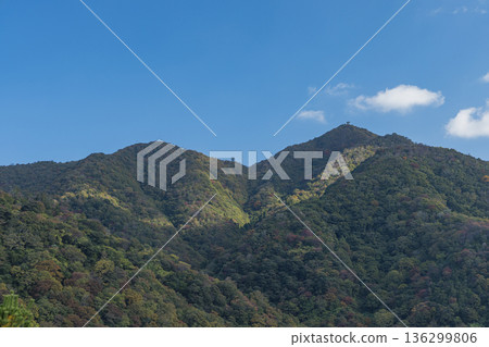 從日本島根縣出雲市大社町的出雲大社神社眺望彌山 136299806