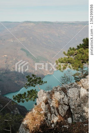 Rocky cliff with pine tree above Perucac Lake and Drina River canyon in Tara National Park, Serbia. Natural mountain view with water and distant hills Rocky cliff with pine tree above Perucac Lake and Drina River canyon in Tara National Park, Serbia. Natural mountain view with water and distant hills 136299986