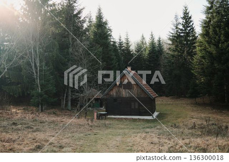 Small wooden cabin located on a quiet forest clearing inside Tara National Park, Serbia. Remote mountain shelter surrounded by dense evergreen trees and wild nature Small wooden cabin located on a quiet forest clearing inside Tara National Park, Serbia. Remote mountain shelter surrounded by dense evergreen trees and wild nature 136300018
