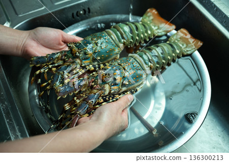 Cropped shot view of human hands holding two fresh lobster for cleaning it. Cleaning lobster ensures the removal of waste, dirt, and inedible parts. A lobster is a hard-shelled animal that lives in sa Cropped shot view of human hands holding two fresh lobster for cleaning it. Cleaning lobster ensures the removal of waste, dirt, and inedible parts. A lobster is a hard-shelled animal that lives in sa 136300213