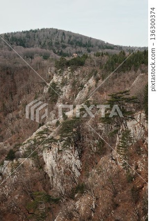 Rocky cliffs with pine trees in Tara National Park Serbia surrounded by forested mountains. Natural wilderness scene symbolizing strength, balance, and harmony with nature 136300374