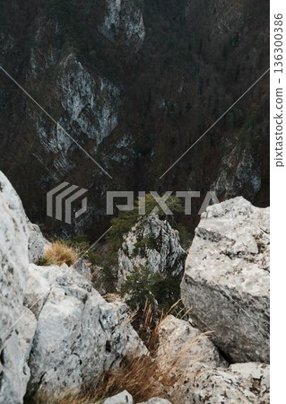 Rocky mountain ridge in Tara National Park Serbia with steep cliffs and forested slopes. Dramatic wilderness landscape showing raw nature, depth, and untouched mountain terrain 136300386