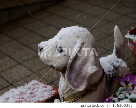 A Dog Figurine Watching Rare Snow A Dog Figurine Watching Rare Snow 136300392