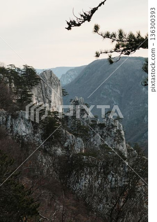 Rock formations with pine trees in Tara National Park Serbia surrounded by forested mountains. Scenic wilderness landscape representing strength, natural balance, outdoor adventure, untouched nature 136300393