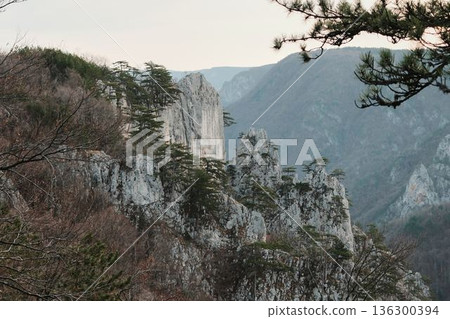 Rock formations with pine trees in Tara National Park Serbia surrounded by forested mountains. Scenic wilderness landscape representing strength, natural balance, outdoor adventure, untouched nature 136300394