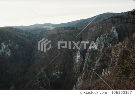 Mountain canyon landscape in Tara National Park Serbia with steep rocky cliffs and forested slopes under soft cloudy sky. Wild nature scene symbolizing freedom, exploration, and untouched wilderness 136300397