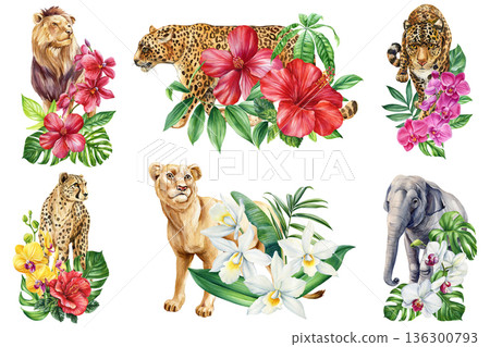 Tropical wild animals with flowers watercolor illustration set lion leopard cheetah elephant with hibiscus orchids leaves 136300793
