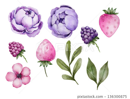 Watercolor floral and berry set with purple flowers pink strawberries and green leaves, soft pastel colors and simple shapes. Illustration for greeting cards, postcards, packaging labels, stickers or 136300875