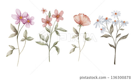 Watercolor set of delicate wild flowers with thin stems and soft pastel petals in pink peach and blue tones. Illustration for invitations, postcards, packaging, stationery or gentle floral designs. Watercolor set of delicate wild flowers with thin stems and soft pastel petals in pink peach and blue tones. Illustration for invitations, postcards, packaging, stationery or gentle floral designs. 136300878