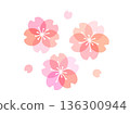 cute cherry blossom illustration 136300944