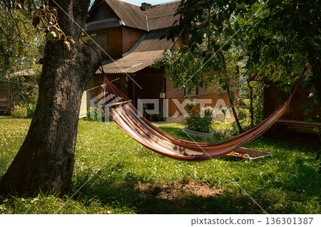 Hammock in Sunny Garden Near Wooden House 136301387