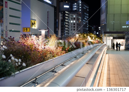 Illuminated flowers in the city at night 136301717
