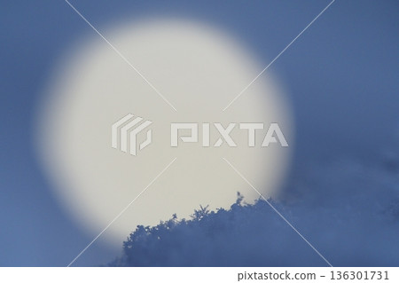 新雪和滿月 136301731