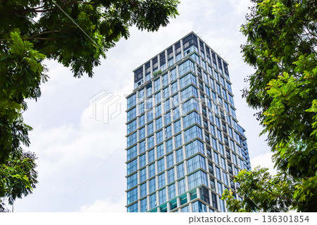 許多綠色辦公室街道風景 許多綠色辦公室街道風景 136301854