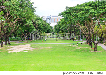 Green urban park landscape Green urban park landscape 136301861