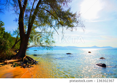 Coast with clear sea water, rocks in tropical island. Wild rocky shore at jungle Cambodia. 136302367