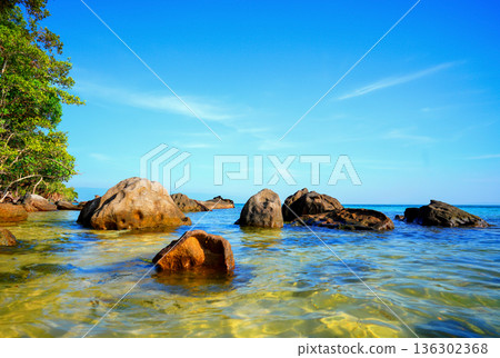 Bright shoreline with clear ocean water, trees on coast in tropical wild island. Sea meets shore 136302368