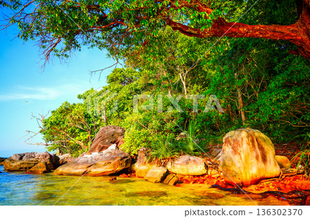 Bright shoreline rocks beach, tree over sea in tropical lisland in sunset. Bright tropical landscape 136302370