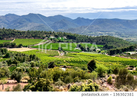 Spain rural with farm fields. Spanish countryside with agricultural field at mountains Spain rural with farm fields. Spanish countryside with agricultural field at mountains 136302381