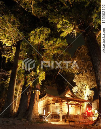 Shrine at night 136302392