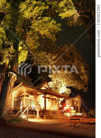Shrine at night Shrine at night 136302393