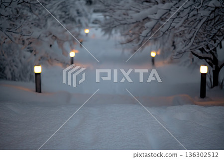 Snow-covered park downhill: Winter promenade and snowy scenery Snow-covered park downhill: Winter promenade and snowy scenery 136302512