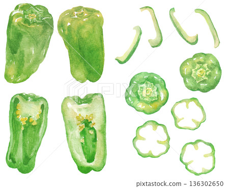 Watercolor bell pepper illustration 136302650