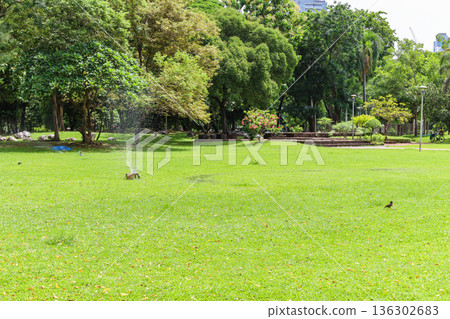 A green urban park A green urban park 136302683