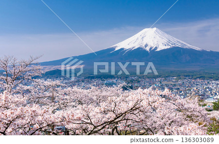 富士山和盛開的櫻花 富士山和盛開的櫻花 136303089