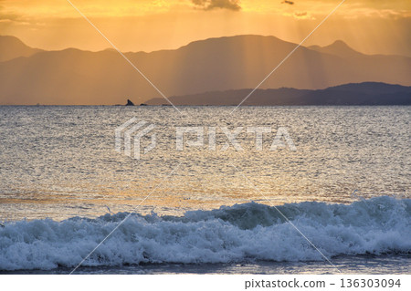 江之島片瀨西濱海灘的夜景（神奈川縣藤澤市） 136303094