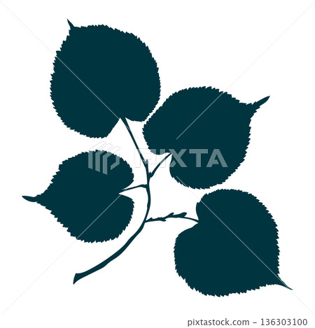 Hand-drawn linden leaves branch silhouette on transparent background. Flat style vector illustration Hand-drawn linden leaves branch silhouette on transparent background. Flat style vector illustration 136303100