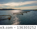 Farm salmon fishing in Norway. Norway is the biggest producer of farmed salmon in the world. 136303252