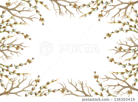 Frame of tree branches and willow twigs with fluffy buds. Hand drawn watercolor illustration isolated on white. Pastel clip art for Easter vintage cards, invitations and posters. 136303419