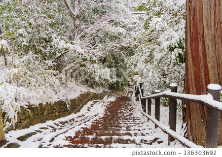 雪的人行道 136303692