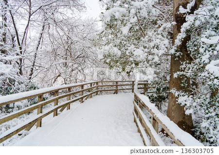 三寶寺池周圍的雪景木棧道 三寶寺池周圍的雪景木棧道 136303705